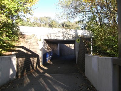 DSCF0150.JPG